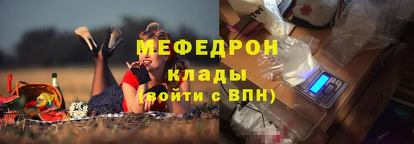 гидра Кодинск