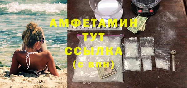гидра Кодинск