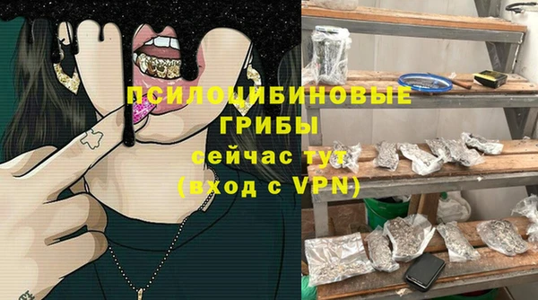 гидра Кодинск