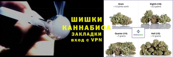 гидра Кодинск