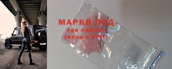 гидра Кодинск