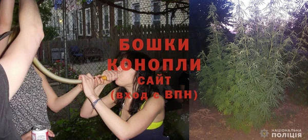ГАЛЛЮЦИНОГЕННЫЕ ГРИБЫ Козельск