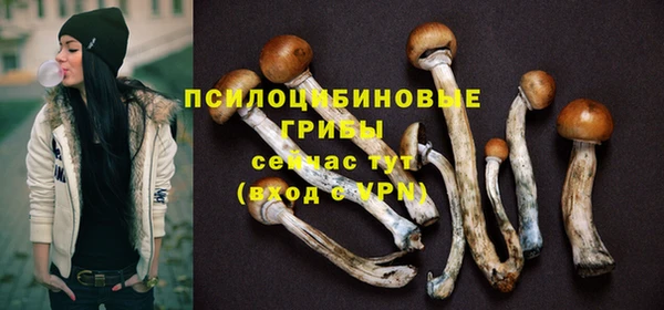 ГАЛЛЮЦИНОГЕННЫЕ ГРИБЫ Козельск