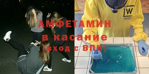 гидра Кодинск