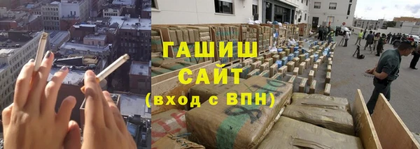 гидра Кодинск